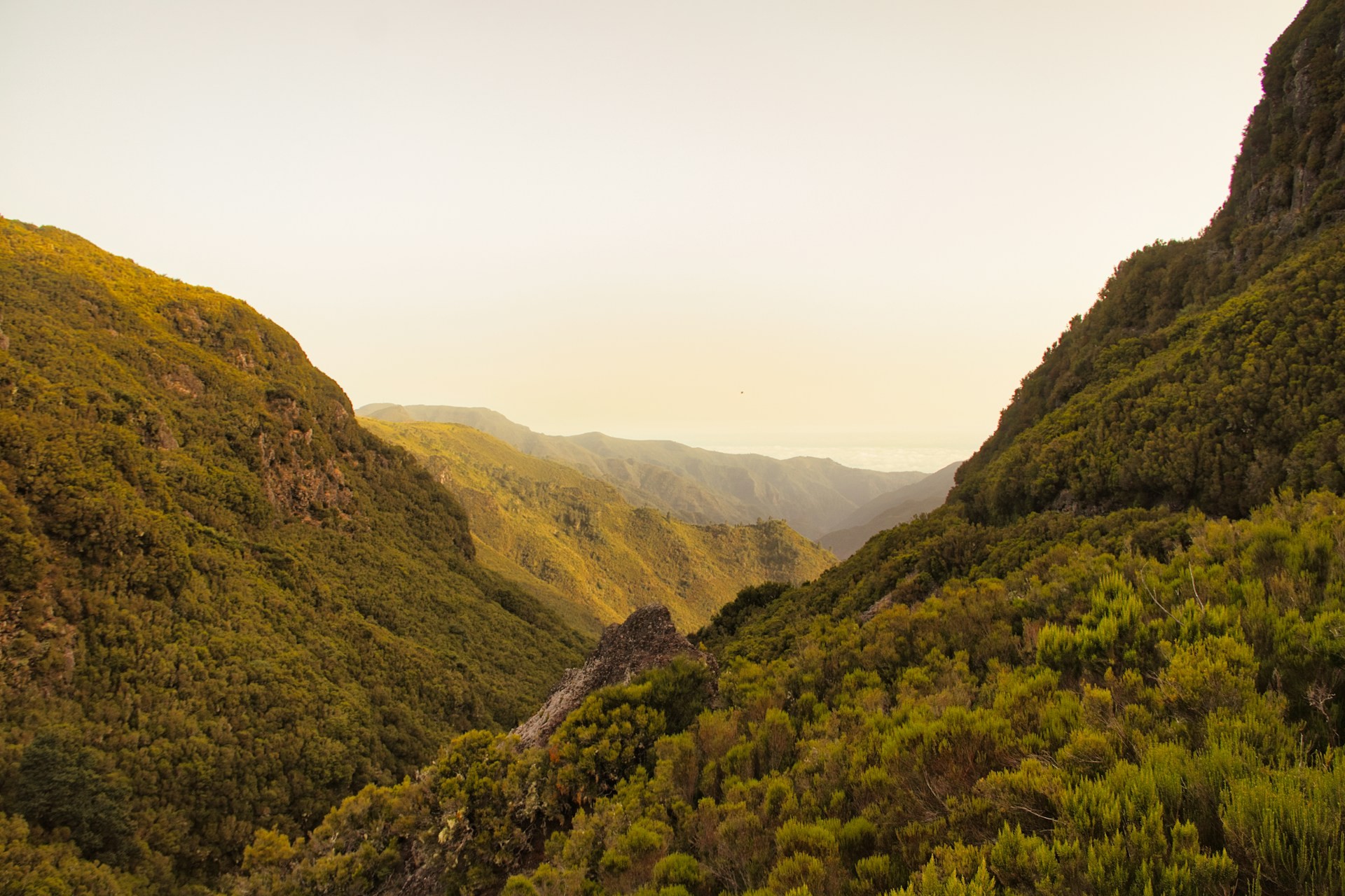 Tekst block demo pagina